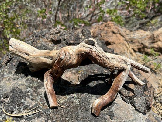 natural driftwood