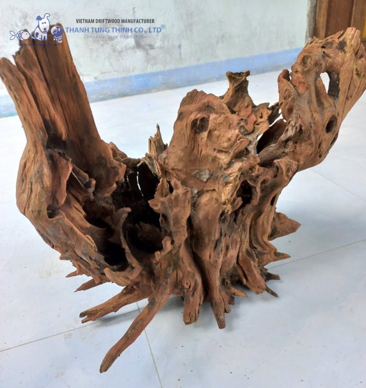 Sam driftwood