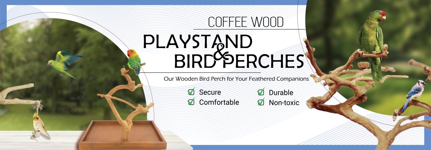 Bird perch header