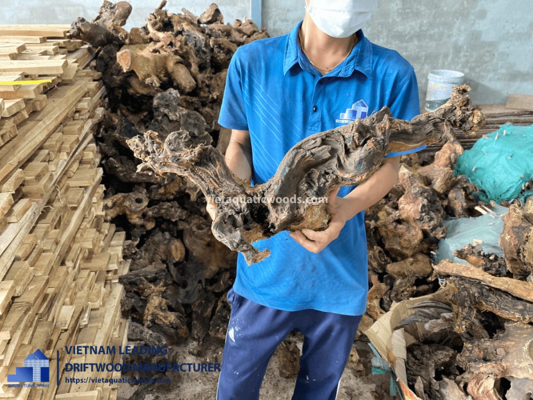 import driftwood