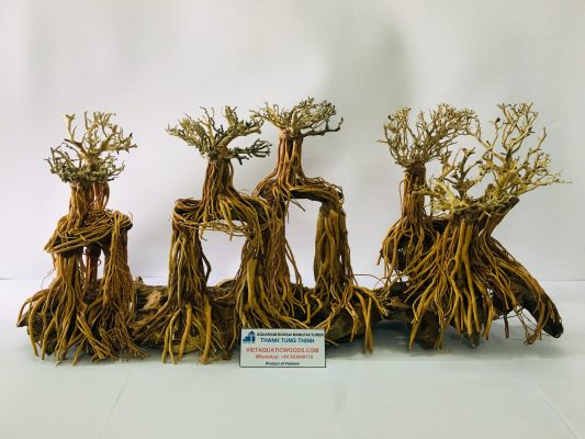 large bonsai driftwood wholesale