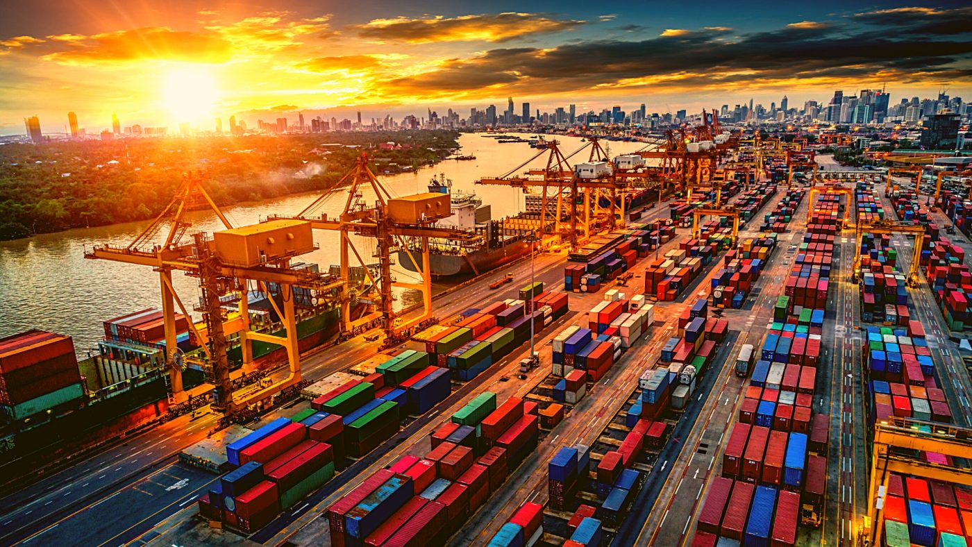 Vietnam has gained a good reputation in the global driftwood supply chain
