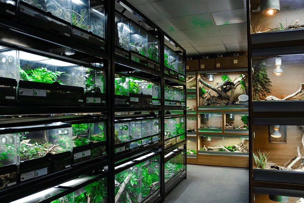Encouraging add-on sales with themed environments