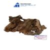 aquarium brown core woods