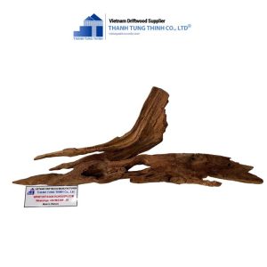 Alternative view of Aquarium Brown Core Woods