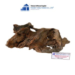 aquarium brown core woods