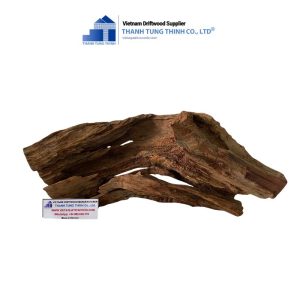 Alternative view of Brown Core Woods for Aquariums and Terrariums