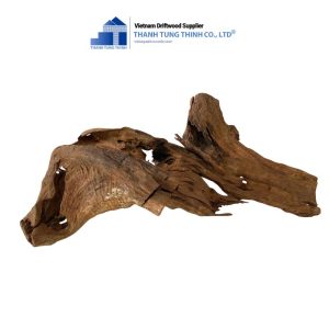 Alternative view of Brown Core Woods for Terrariums
