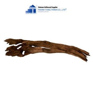 brown core driftwood for terrariums 3