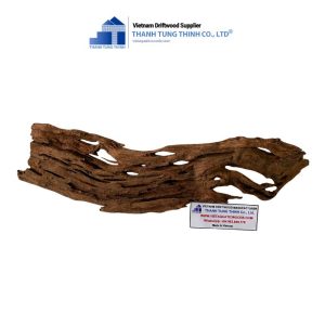 brown core woods for terrariums