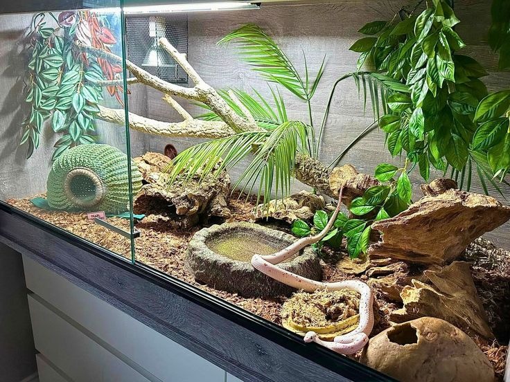 Combining driftwood with other natural decor