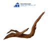 curved brown core driftwood
