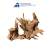 natural dodo woods