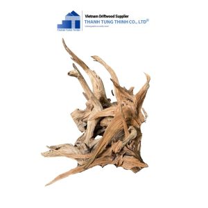 Alternative view of Natural Dodo Woods
