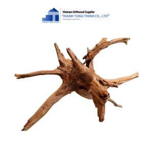 Alternative view of Dodo Woods for Aquariums and Terrariums