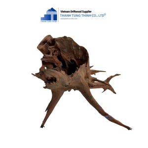 dodo woods for aquascape