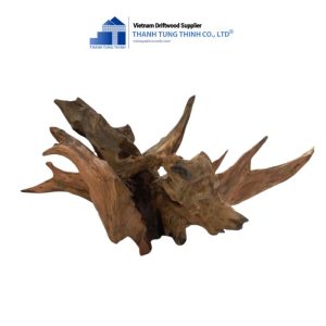 dodo woods for reptile tanks
