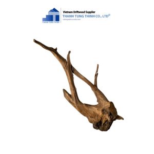 Alternative view of Dodo Woods for Aquascape