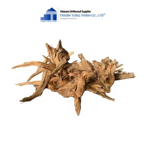 Alternative view of Terrarium Dodo Woods
