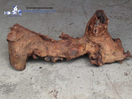 driftwood for reptile tanks