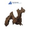 aquarium sanda driftwood