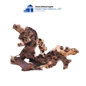 unique kimchi driftwood - congo driftwood