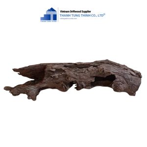 Alternative view of Log-Shaped Sanda Driftwood