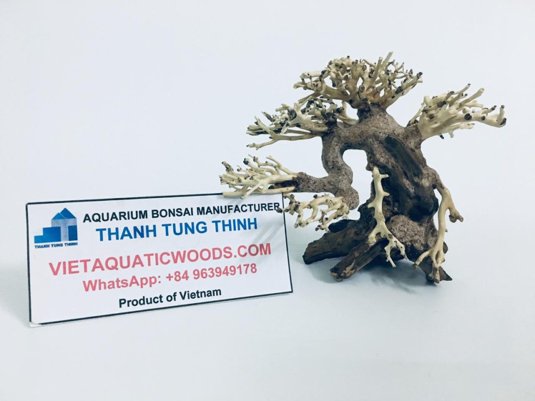 Mini bonsai driftwood
