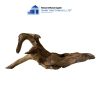 natural brown core driftwood