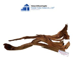 Alternative view of Natural Brown Core Woods