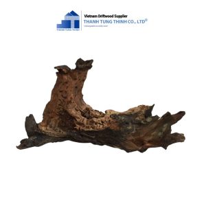 Alternative view of Natural Sanda Woods for Aquariums and Terrariums