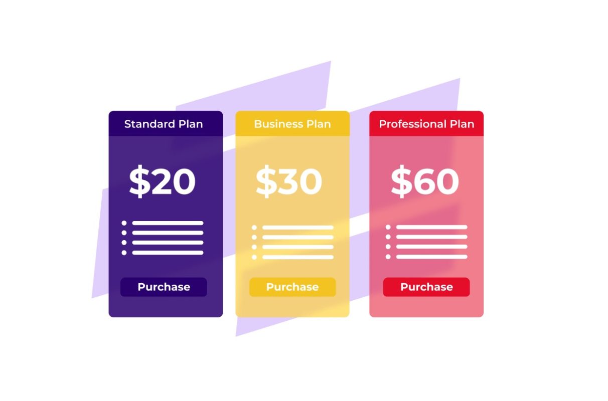 Understanding pricing structure and payment terms