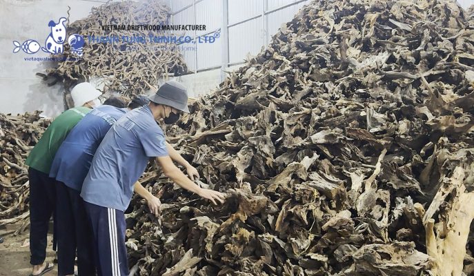 reptile driftwood suppliers