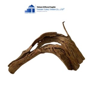 reptile tanks brown core driftwood