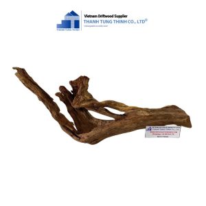 reptile tanks brown core driftwood