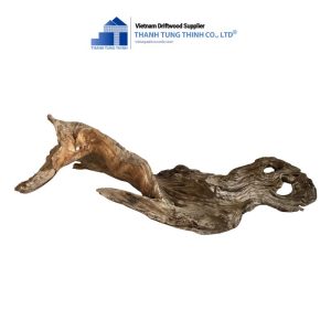 sanda driftwood 6