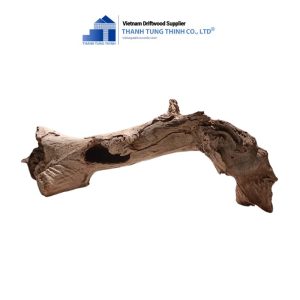 sanda driftwood for reptile tanks