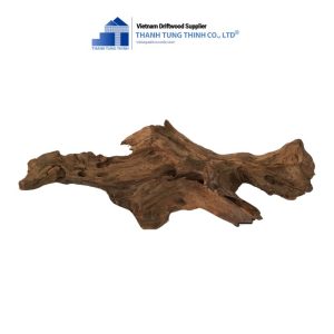 Alternative view of High-Quality Aquarium Sanda Woods