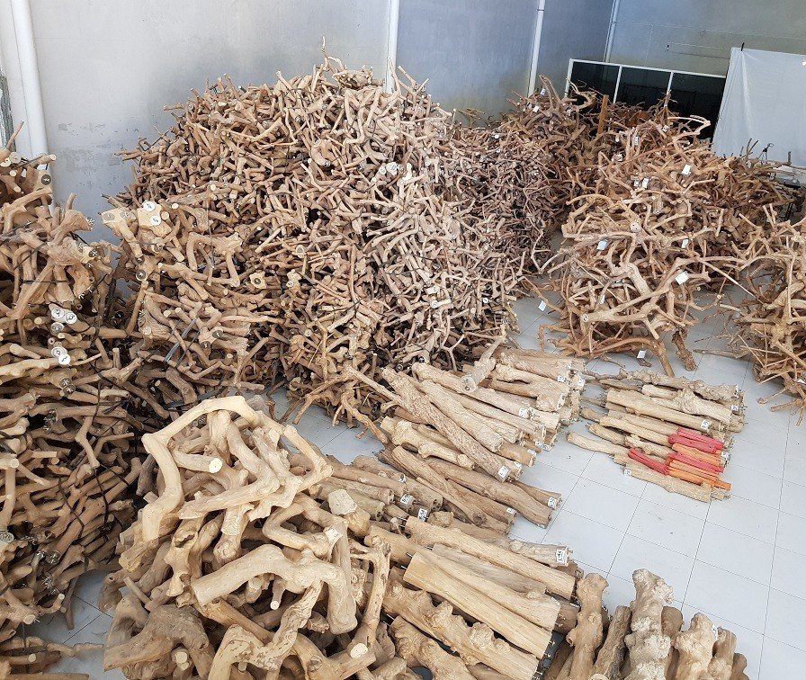 Source wood