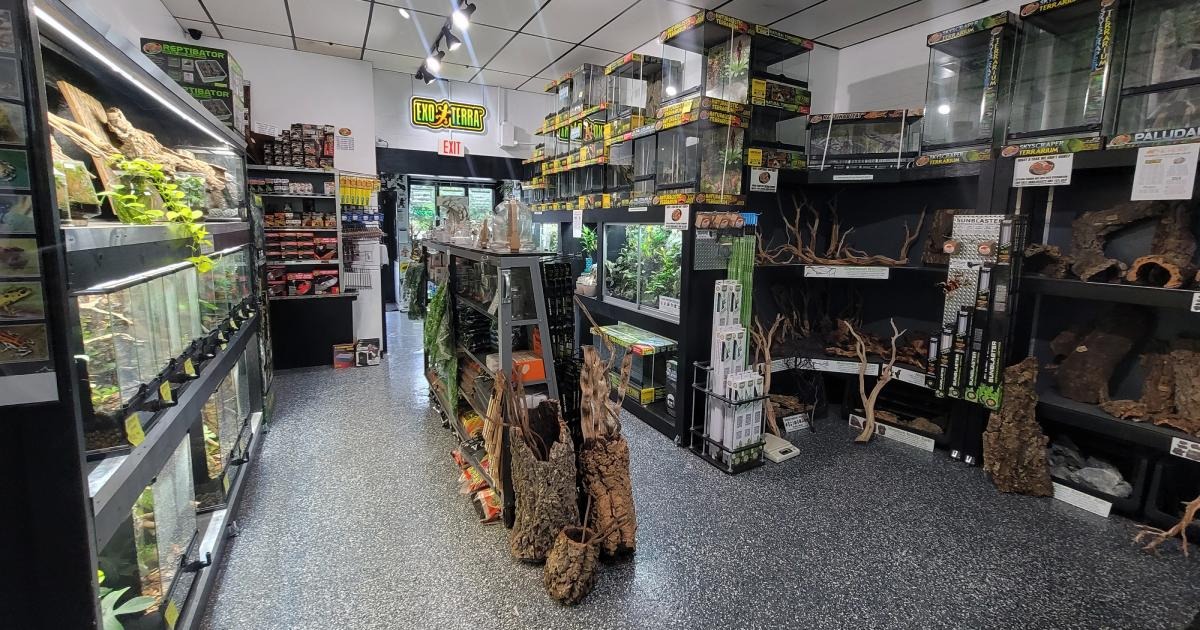 A terrarium store with driftwood on display