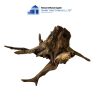 unique brown core driftwood