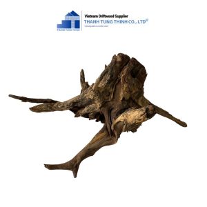 unique brown core driftwood