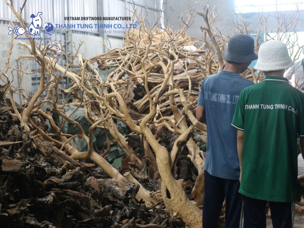 aquarium driftwood suppliers
