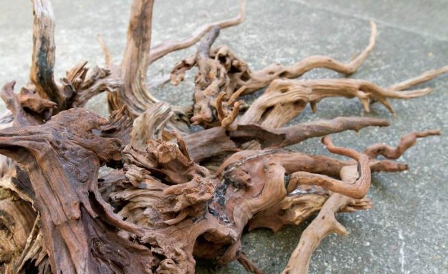wholesale driftwood for bearded dragons