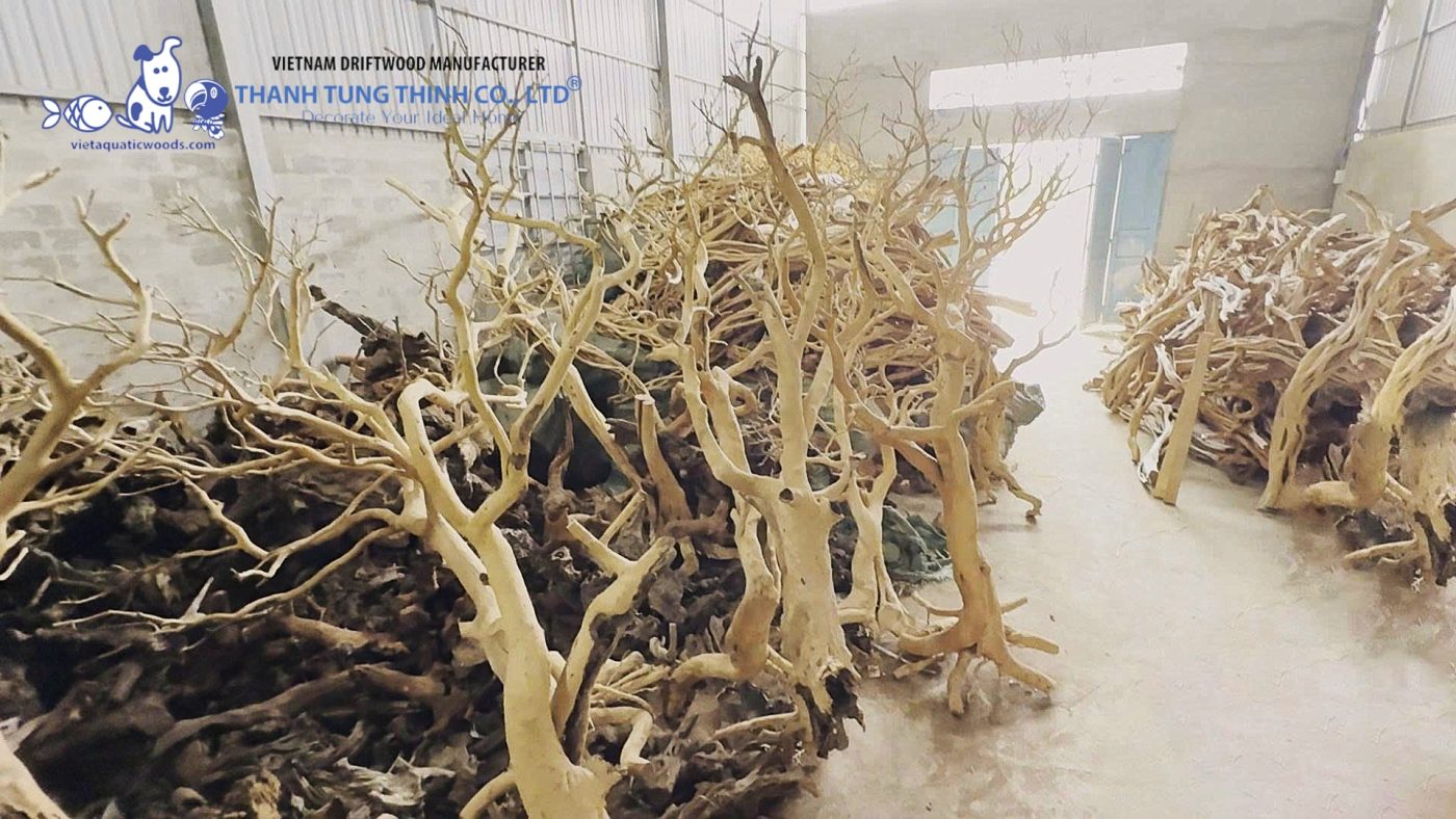 large natural driftwood