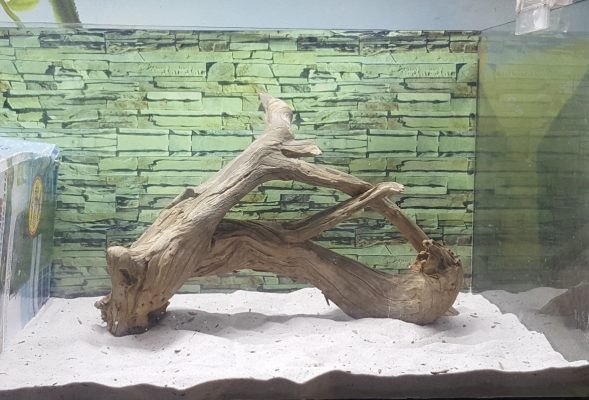 large natural driftwood for sale