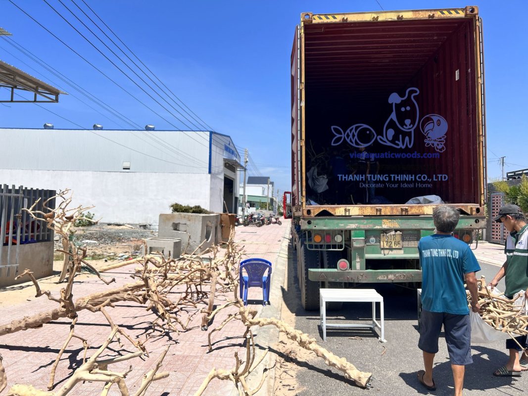 Premium Java wood bird perches trusted by global buyers