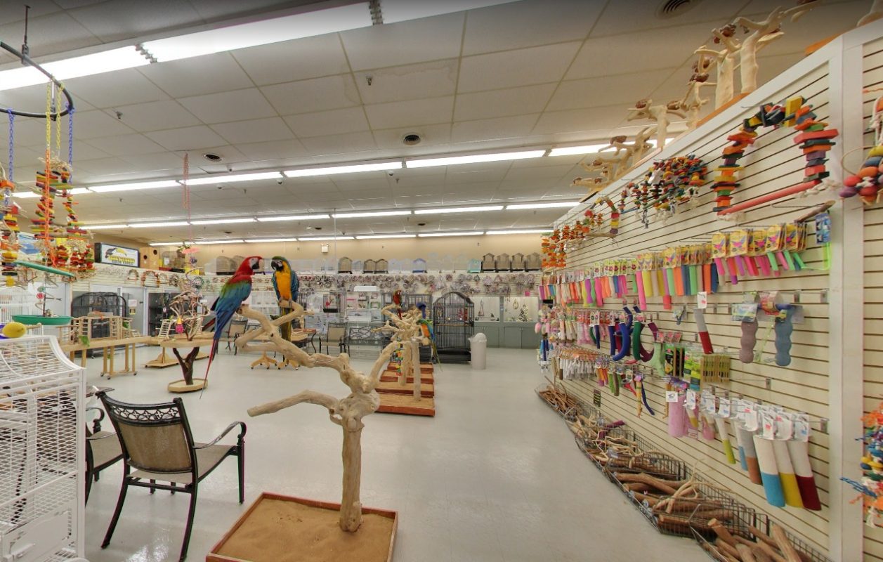 bird store