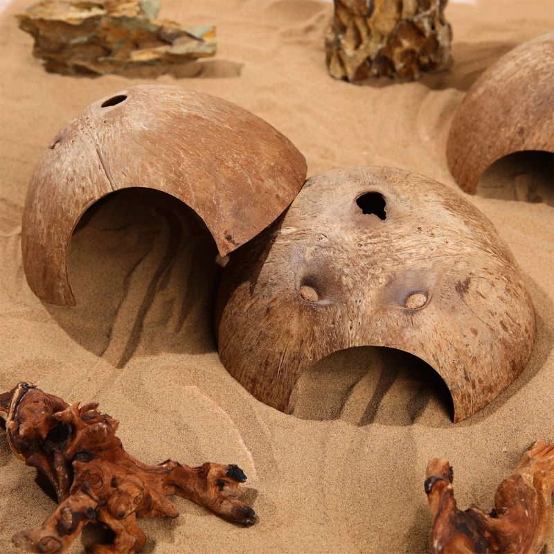 Coconut shell hideouts