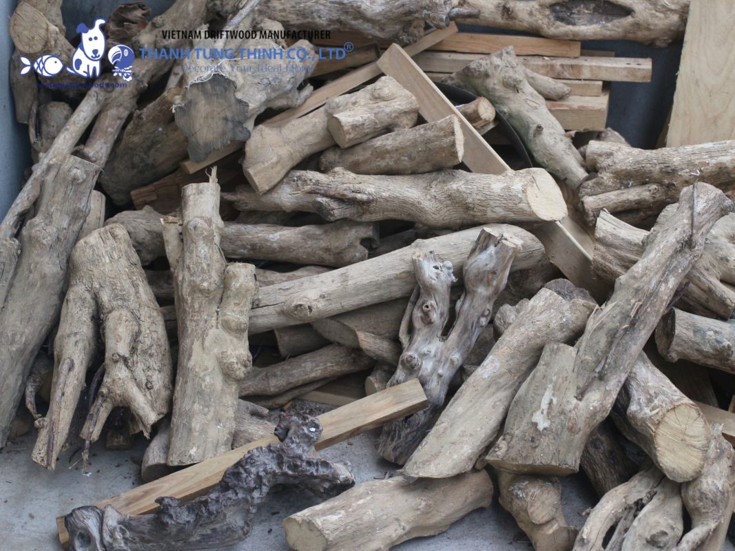 Coffee wood is ideal for sustainable pet products